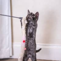 Photo of Nancy