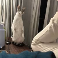 Photo of Louise