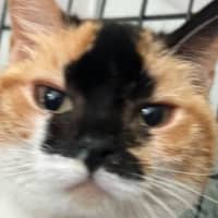 Photo of Little Miss Sunshine