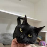 Photo of Bruno