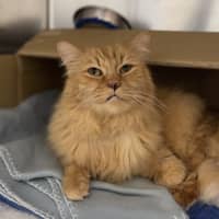 Photo of Roary