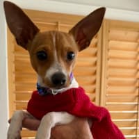 Photo of Pablo