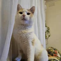 Photo of Rudolf 