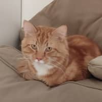 Photo of Diego