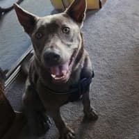 Photo of Stormy 