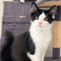 Photo of Gumdrop And Dumpling!