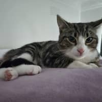 Photo of Sandy