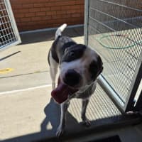 Photo of Zippy! 🪀