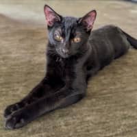 Photo of Freddo