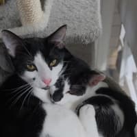 Photo of Manny And Munro