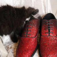 Photo of Jitterbug