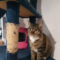 Photo of Evie