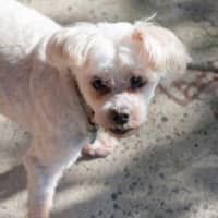 Photo of Wally And Ollie Peggotty