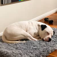 Photo of Turbo