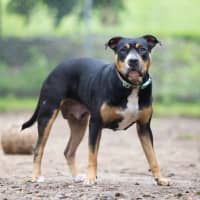 Photo of Marnie
