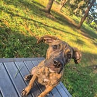 Photo of Adeline 
