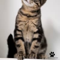 Photo of Tom