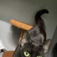 Photo of Faye