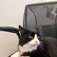 Photo of 🐧 Oscar 7113 🐧