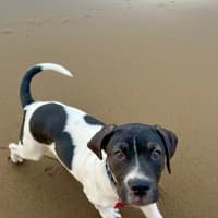 Photo of Margarita (Margi) 