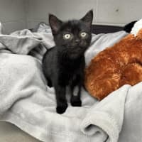 Photo of Dorothy