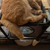Photo of Jasper