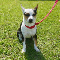 Photo of Wanda