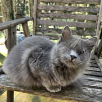 Photo of Winky
