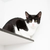 Photo of Luke Sky Walker