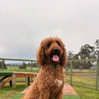 Photo of Wyatt