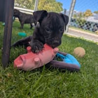Photo of Zeus