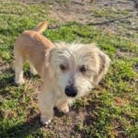 Photo of Georgie O'cleary