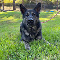 Photo of Poh