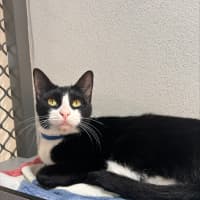 Photo of Pretty Girl