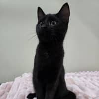 Photo of Bert