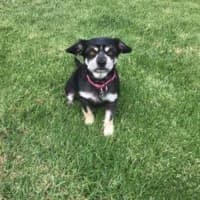 Photo of Jedda O'cleary