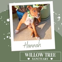 Photo of Hannah
