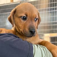 Photo of Ernie