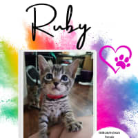 Photo of Ruby