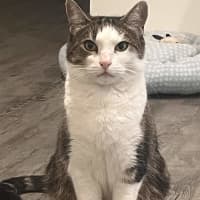 Photo of Esmerelda