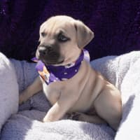 Photo of Vinnie