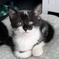 Photo of Moana 🌷🌷🌷