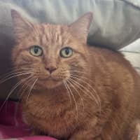 Photo of Trevor