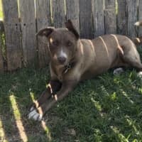 Photo of Milly