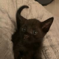 Photo of Jelly Belly