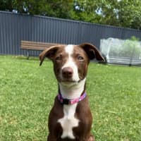 Photo of Marnie