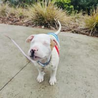 Photo of 🍦 Froyo 6378 🍦 