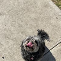 Photo of Grace