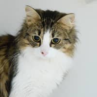 Photo of Millicent 