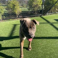 Photo of Dave Imp 678